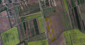 teren de vanzare corbeanca tamasi
