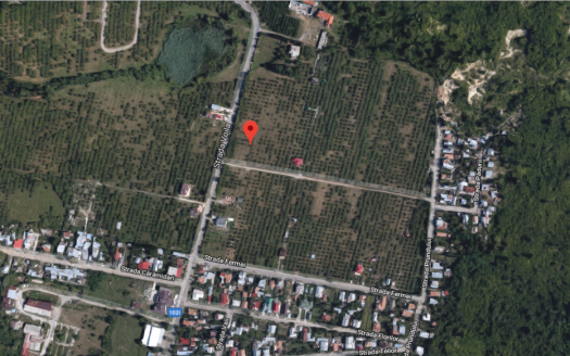 Teren intravilan 2500 mp in Campina Jud Prahova