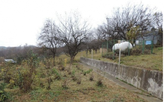 Vila cu teren 6285 mp in Albestii de Muscel Jud Arges