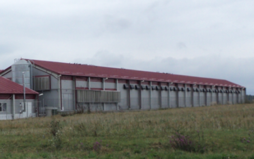 Hala Crestere pui cu teren 5650 mp in Crizbav jud. Brașov