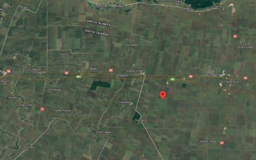 Teren agricol 21258 mp in Independenţa jud. Călăraşi