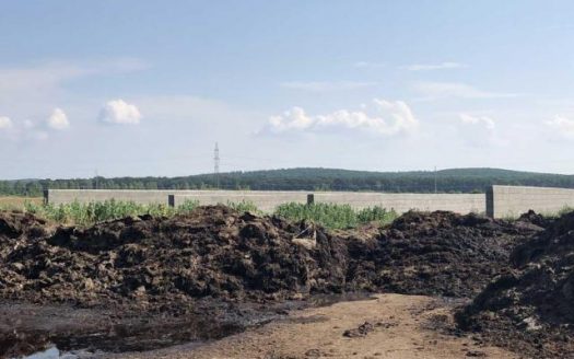 Ferma vaci cu teren 26400 mp in Pomi jud. Satu Mare