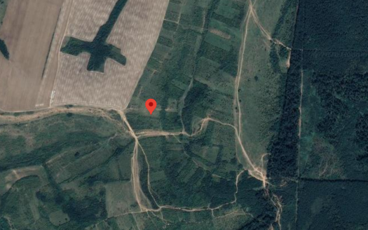 Teren agricol 295900 mp in Zabrani Jud Arad