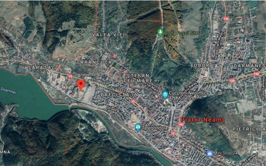 Hale productie hartie cu teren 95463 mp in Piatra-Neamţ