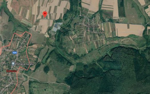 Hala de productie si teren 7.500 mp in Cetariu jud. Bihor