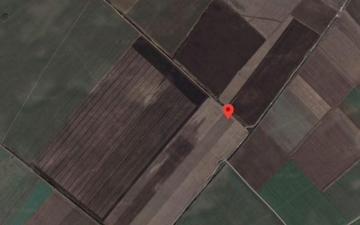 Teren agricol 7194 mp in Frumusani Jud Calarasi