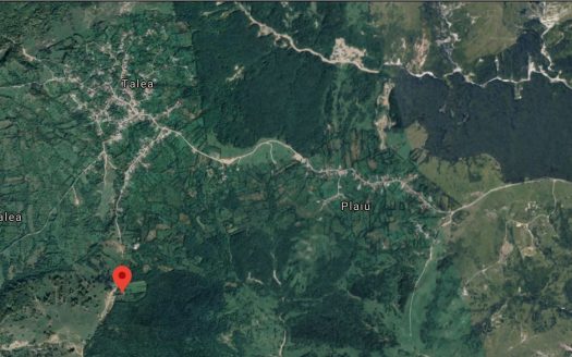 Terenuri 9560 mp faneata in Talea Jud Prahova