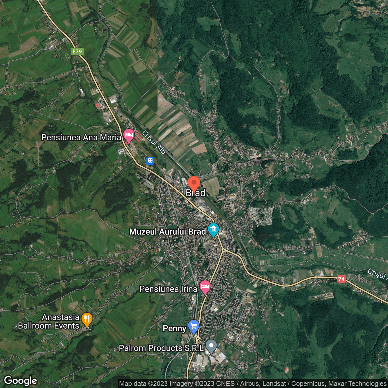 Cladiri cu teren 1834 mp Brad Hunedoara