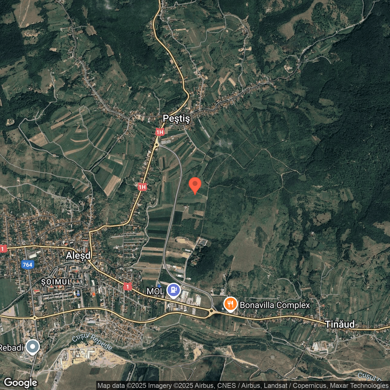 Teren intravilan 11.286 mp Alesd Bihor