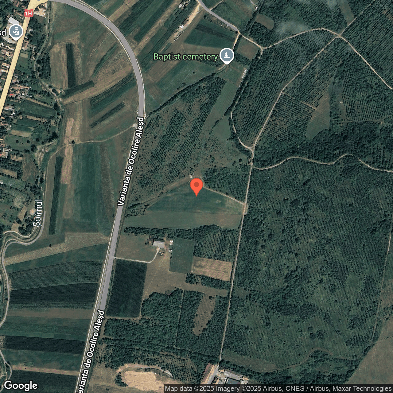 Teren intravilan 11.286 mp Alesd Bihor