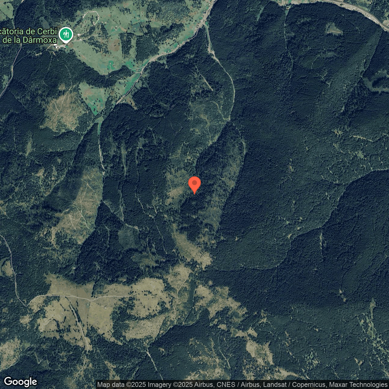 Teren padure 100 ha Panaci Suceava