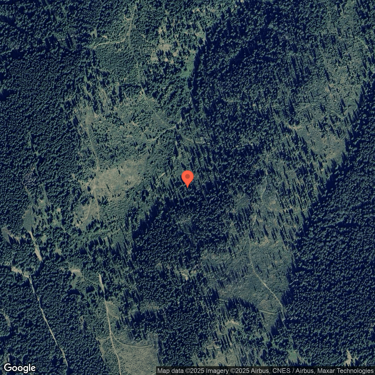 Teren padure 100 ha Panaci Suceava