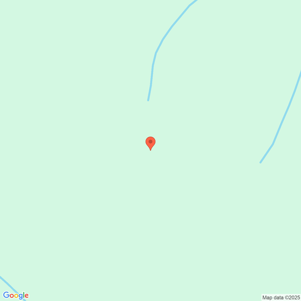 Teren padure 100 ha Panaci Suceava