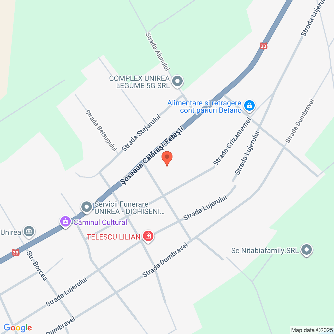 Terenuri extravilane 95 ha Unirea Calarasi