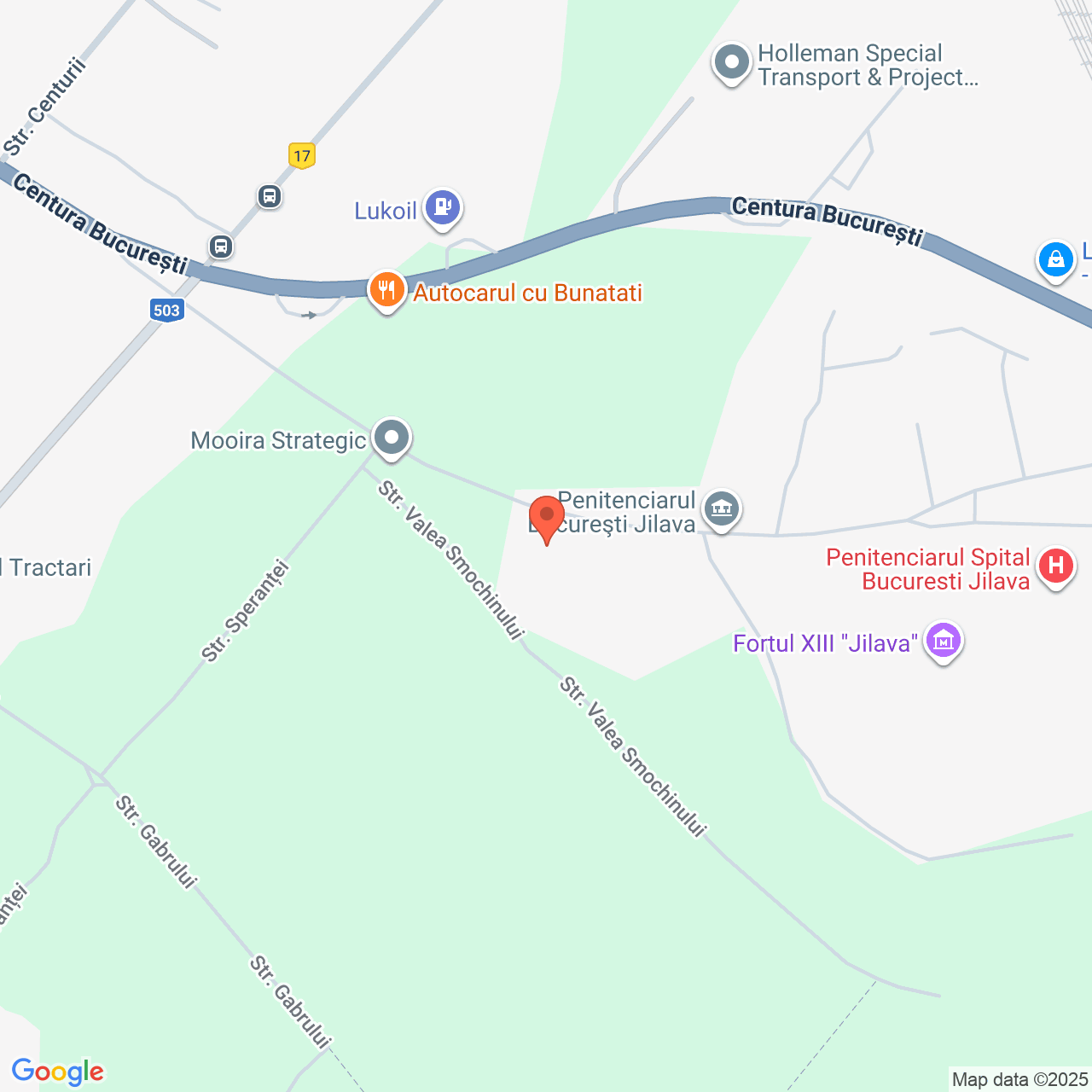 Hala cu teren 517 mp Jilava Ilfov