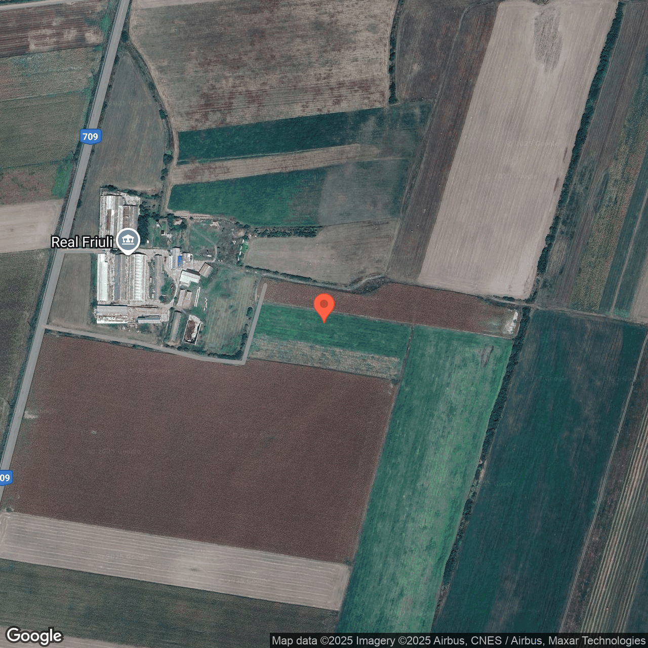 Teren extravilan 11.500 mp Pancota Arad