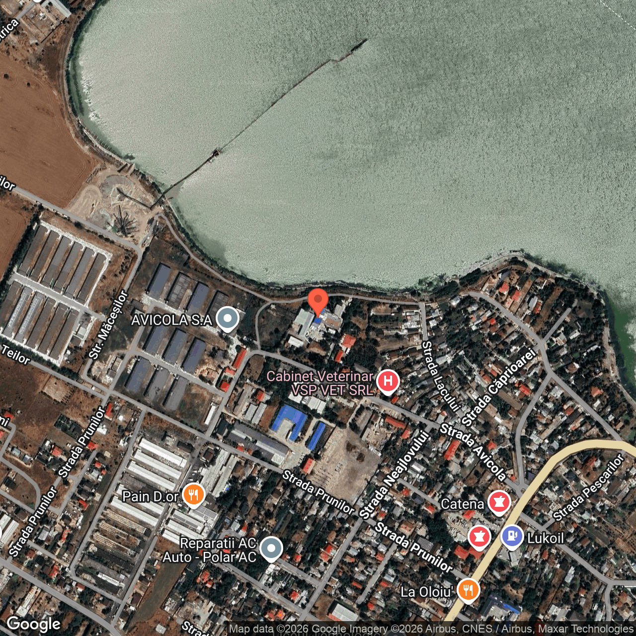 Constructii cu teren 4.512 mp Mihailesti Giurgiu