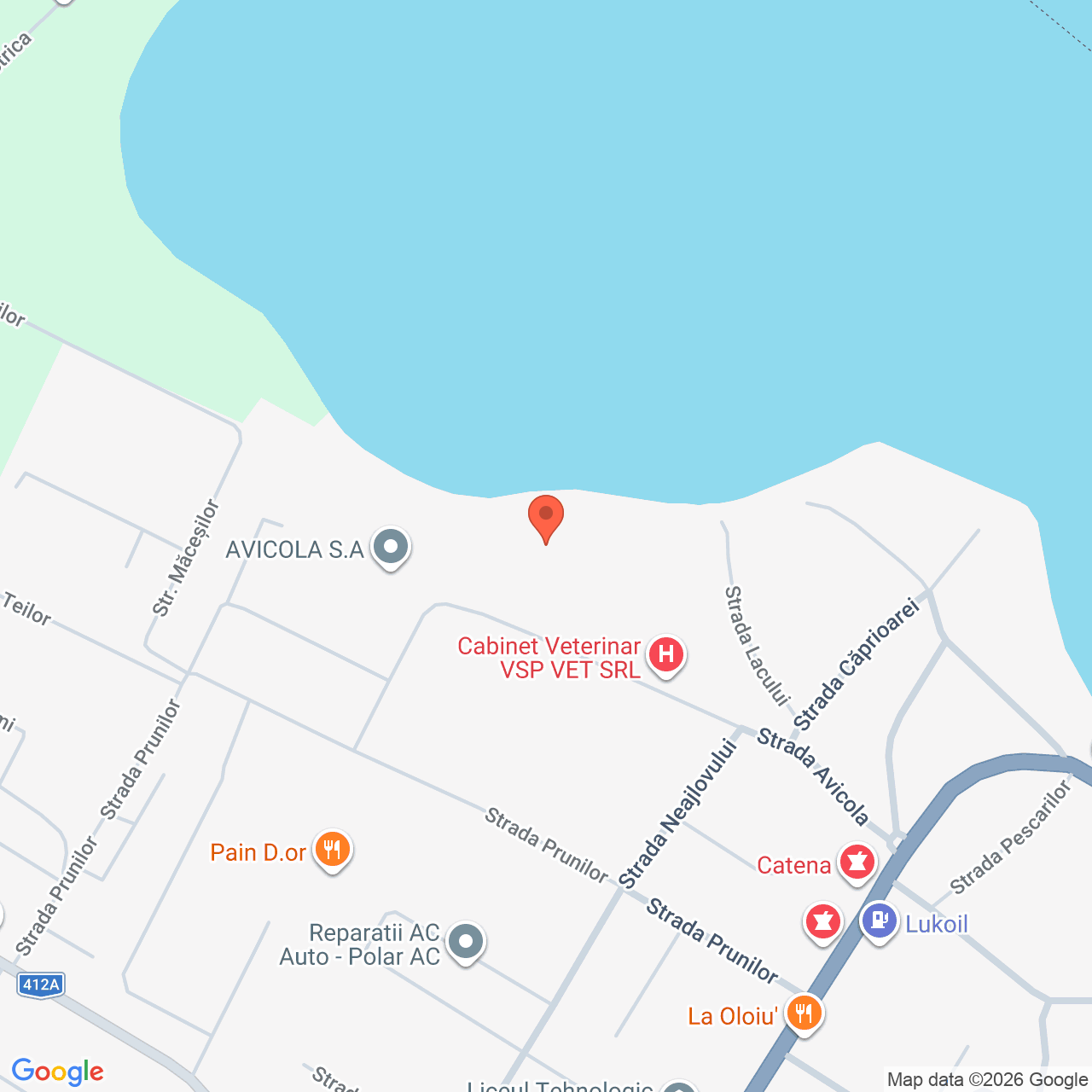 Constructii cu teren 4.512 mp Mihailesti Giurgiu