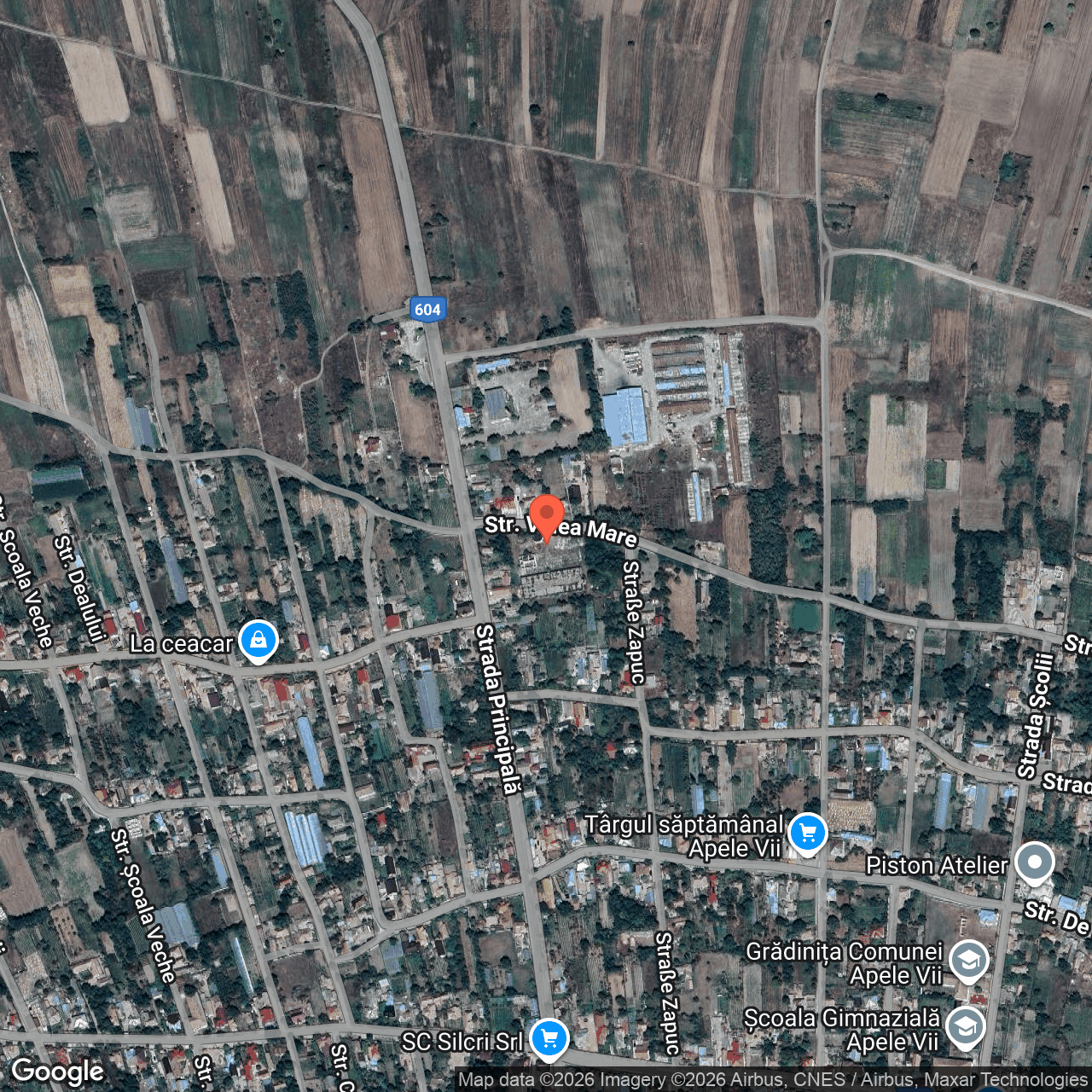 Constructii cu teren 6.242 mp Apele Vii Dolj