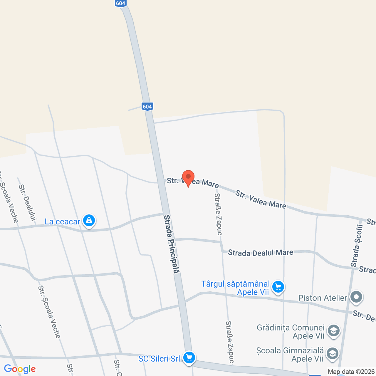 Constructii cu teren 6.242 mp Apele Vii Dolj