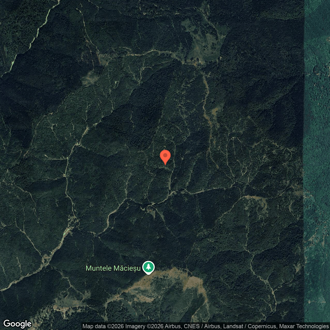 Teren extravilan 6,8 ha Brusturoasa Bacau