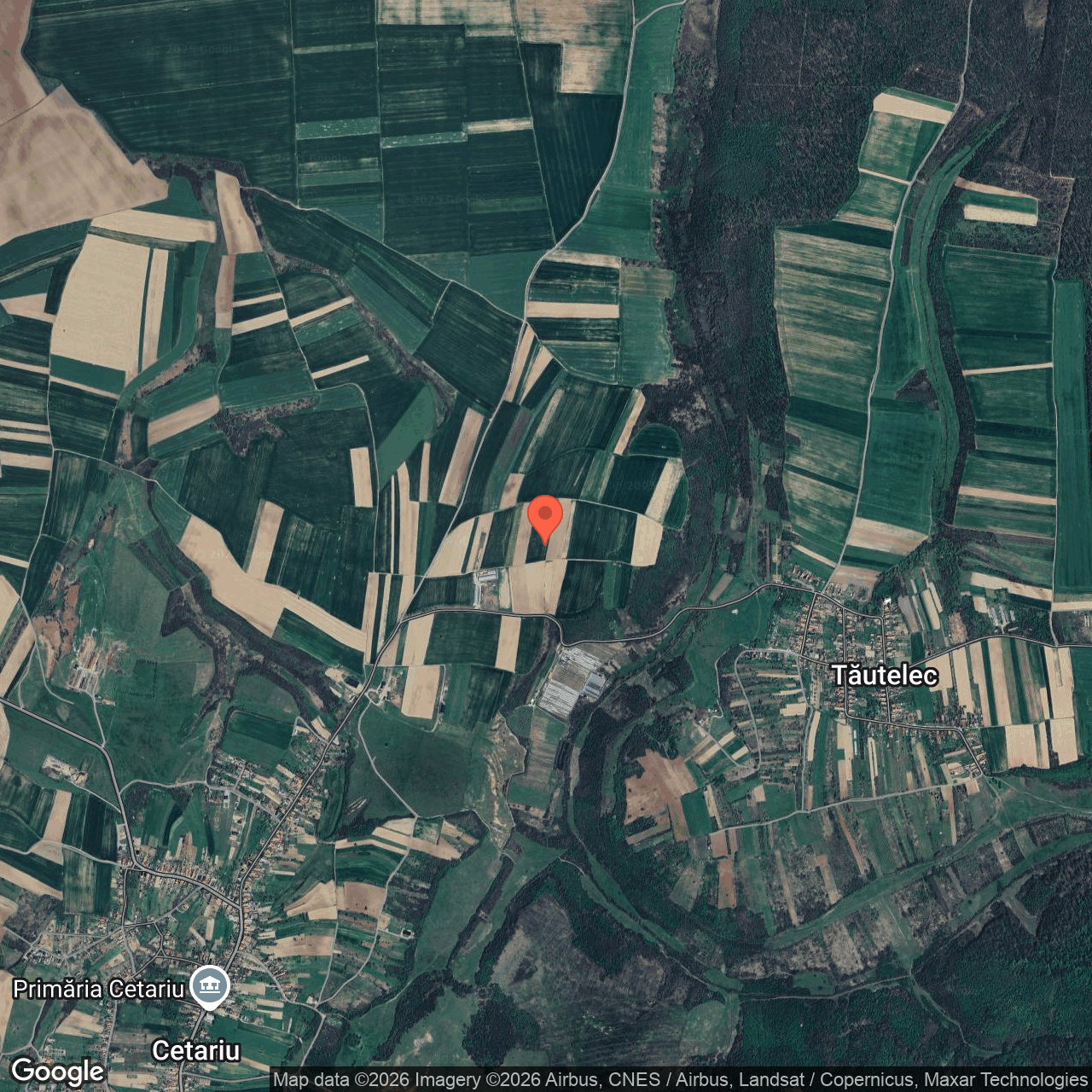 Teren intravilan 3.779 mp Cetariu Bihor