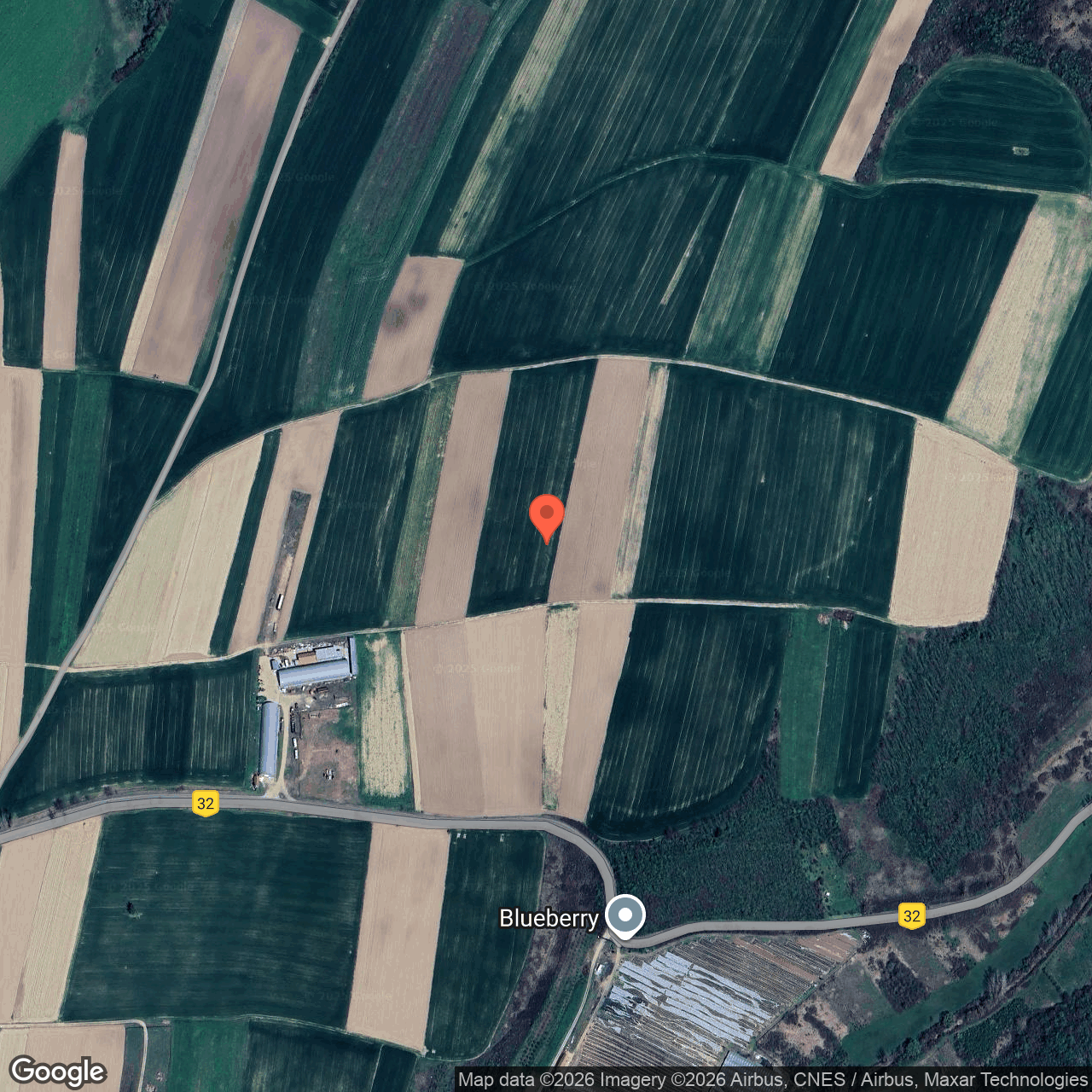 Teren intravilan 3.779 mp Cetariu Bihor