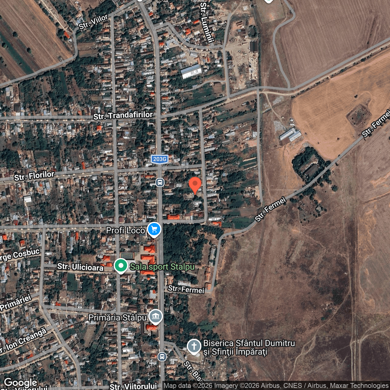 Constructie cu teren 1.403 mp Stalpu Buzau