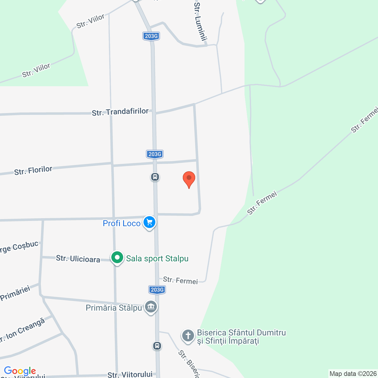 Constructie cu teren 1.403 mp Stalpu Buzau