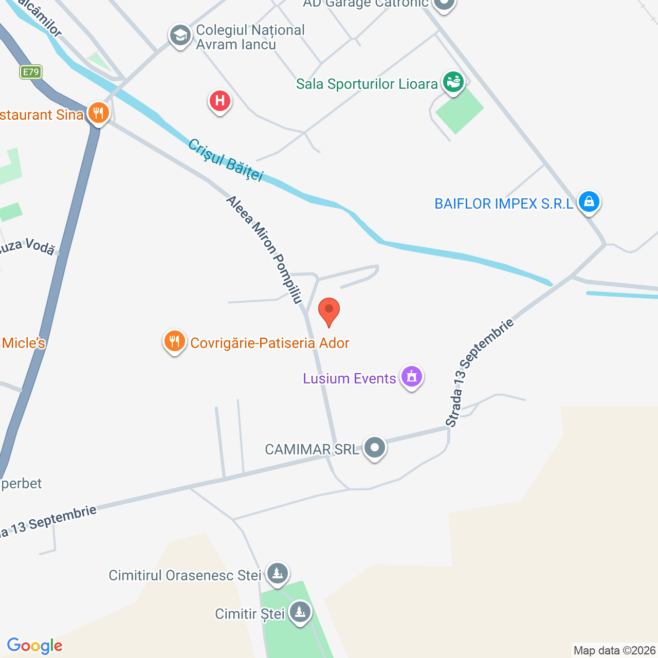 Constructie cu teren 3.956 mp Stei Bihor