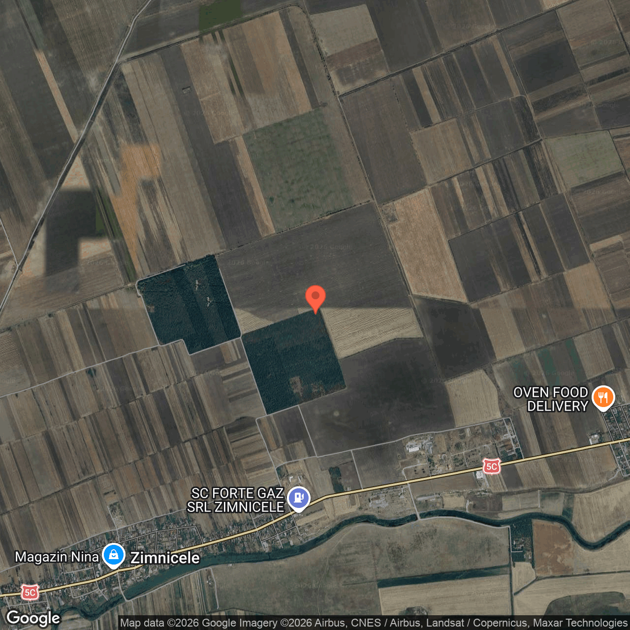 Teren extravilan padure 4.000 mp Nasturelu Teleorman