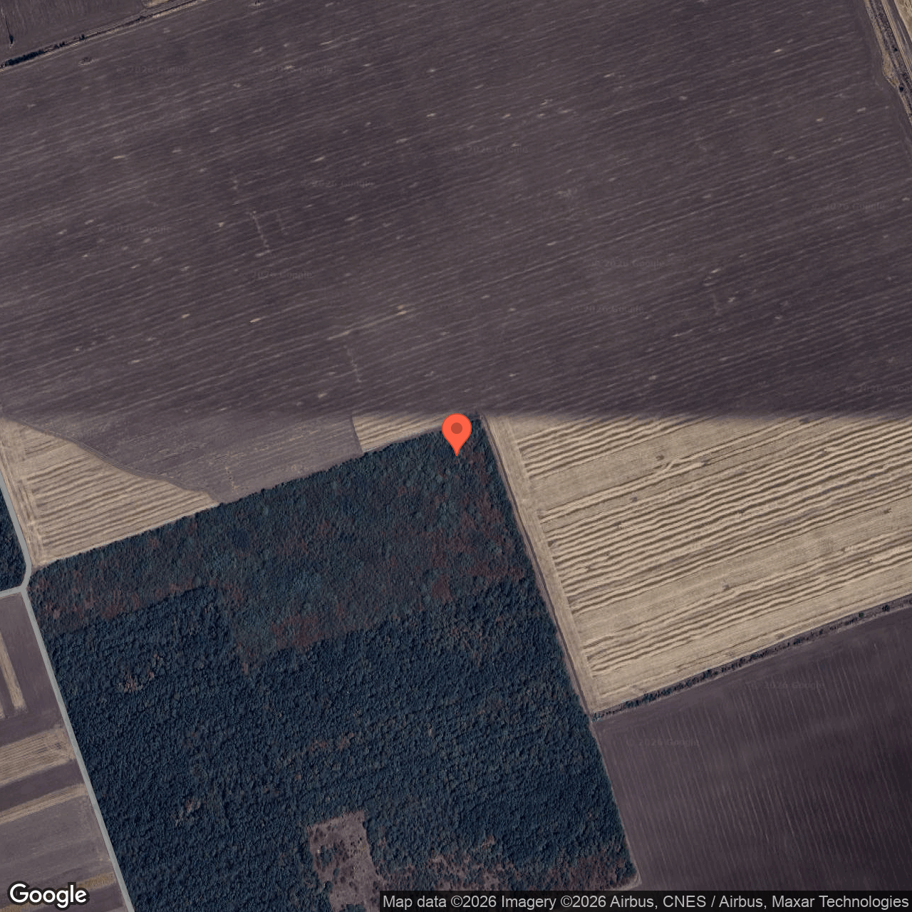 Teren extravilan padure 4.000 mp Nasturelu Teleorman