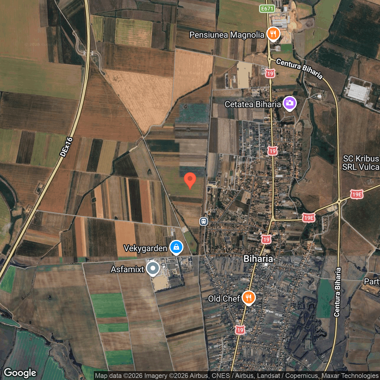 Cota de 1/2 din teren 10.000 mp Biharia Bihor