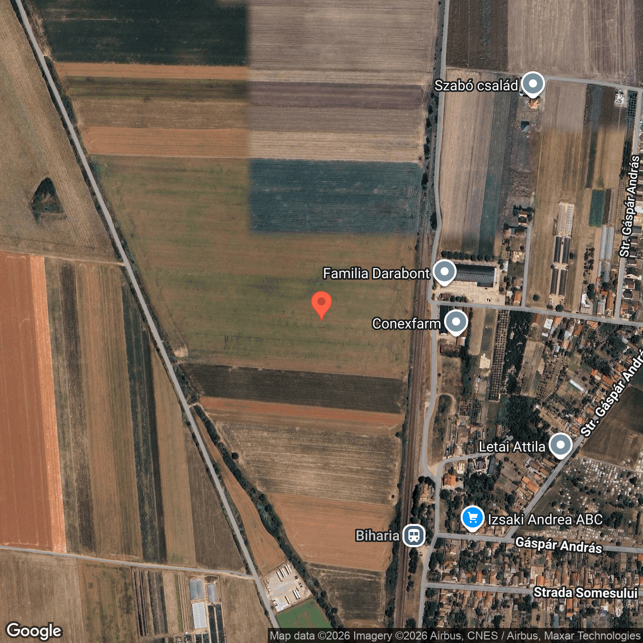 Cota de 1/2 din teren 10.000 mp Biharia Bihor