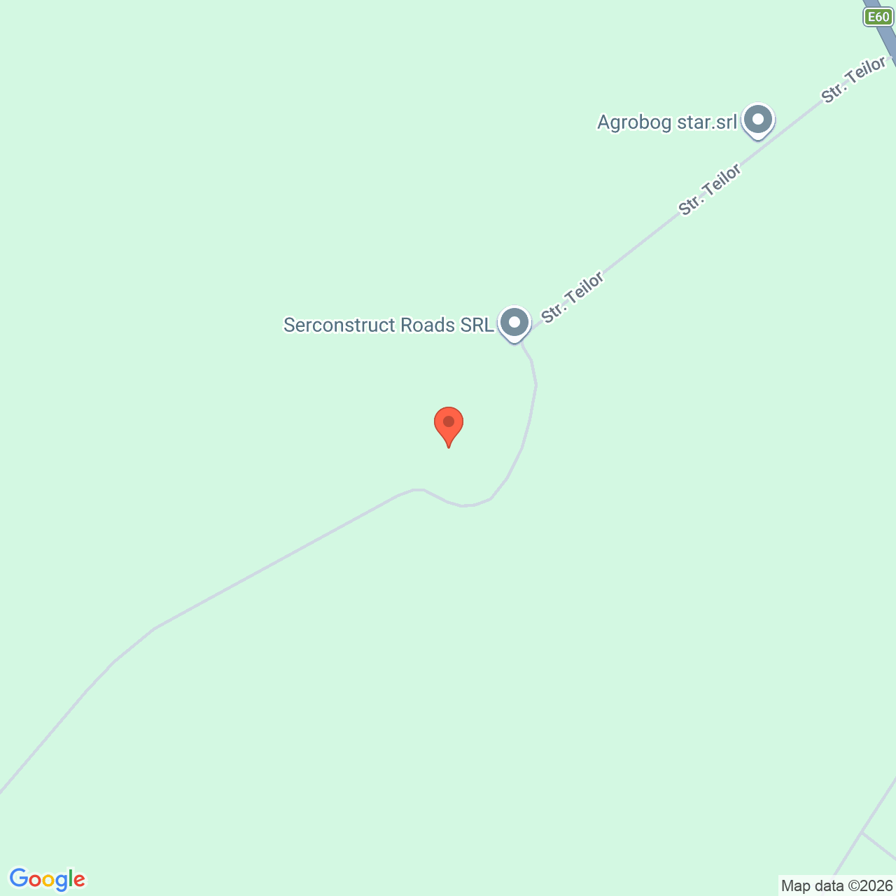 Teren extravilan 15.000 mp Nicolae Balcescu Constanta