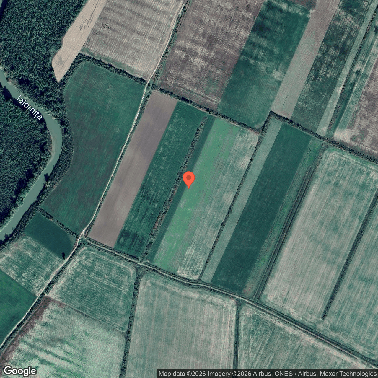 Teren extravilan 9 ha Sfantu Gheorghe Ialomita