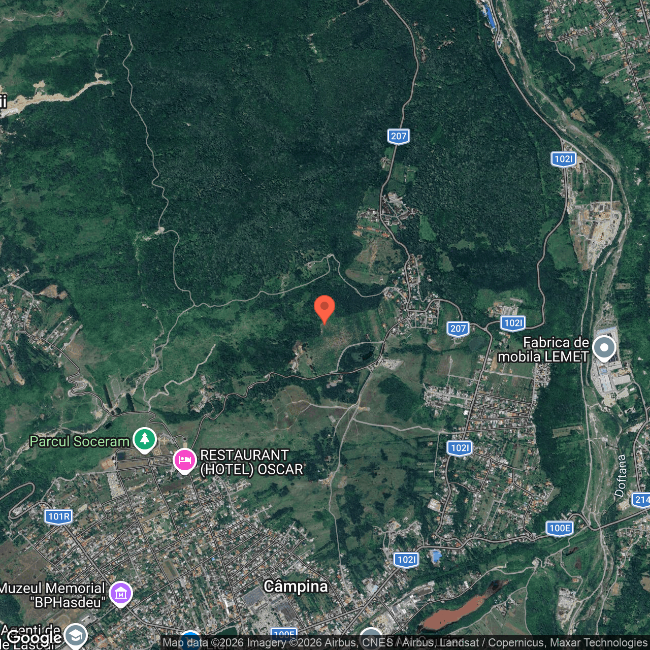 Teren intravilan livada 2.909 mp Campina Prahova