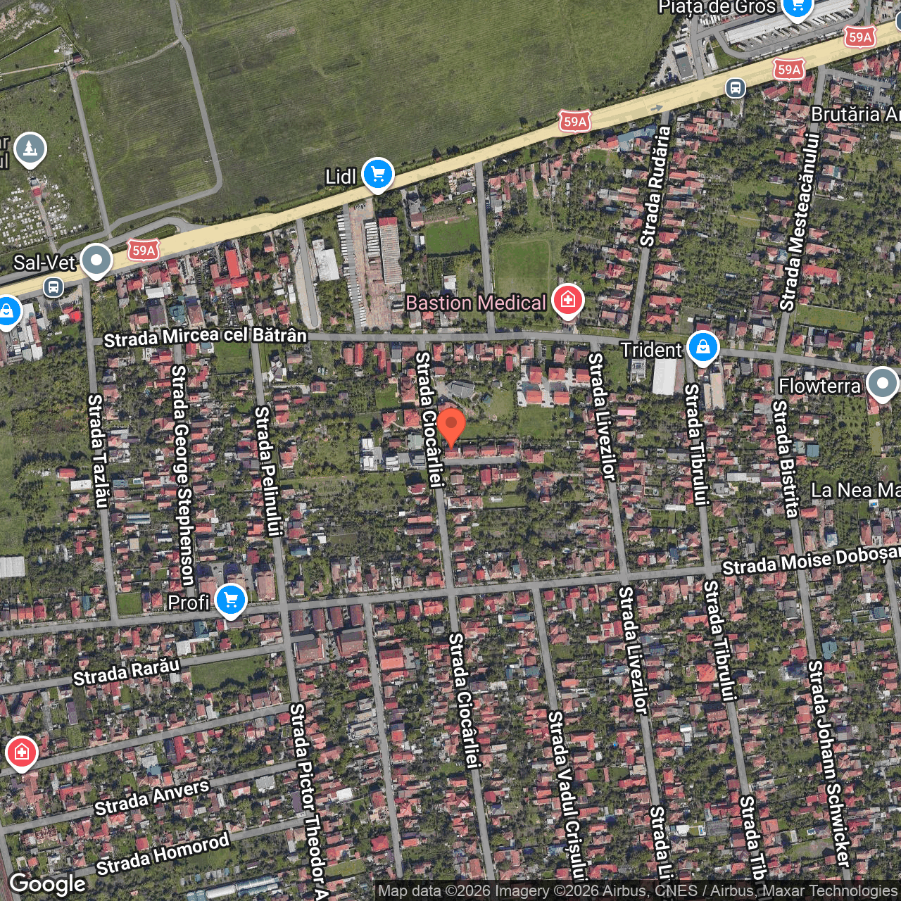 Casa P+M Intrarea Petre Pacurariu Timisoara