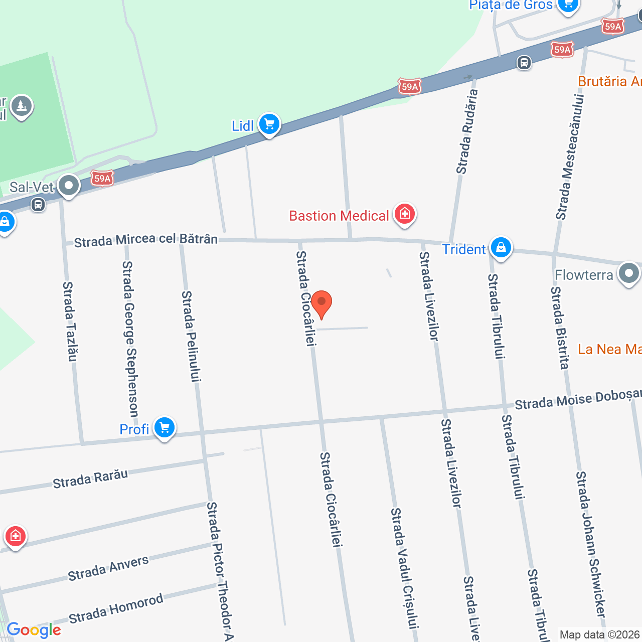 Casa P+M Intrarea Petre Pacurariu Timisoara